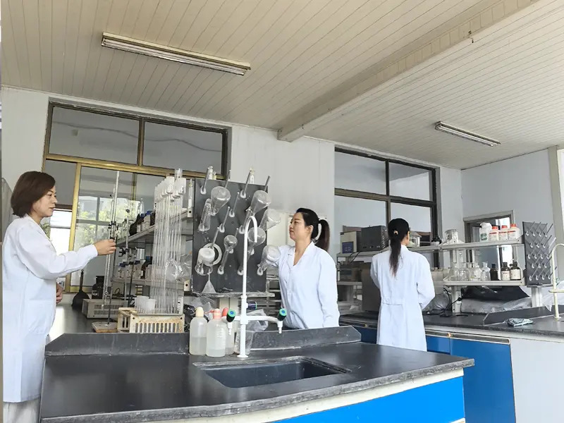 Technical Control from Raw Materials to Finished Dyes
